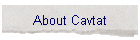 About Cavtat
