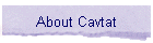 About Cavtat